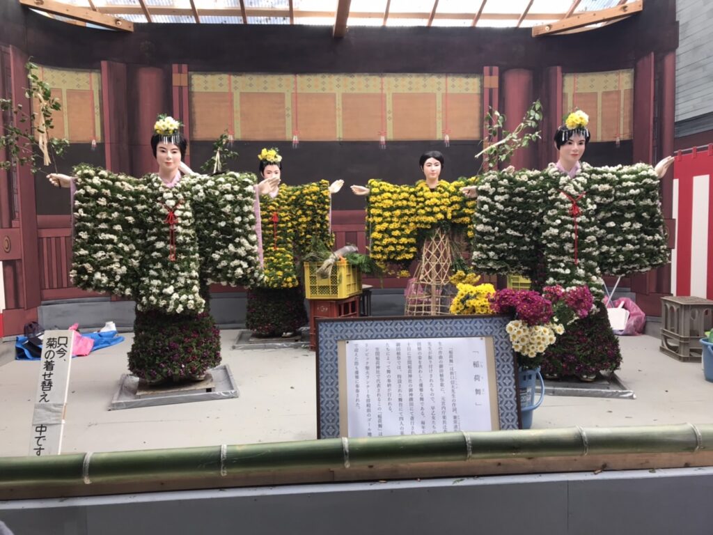 笠間稲荷神社の菊祭りに行ってきました。見ごろに向けてお仕度中でしたが、水干姿の菊人形が展示されていました。