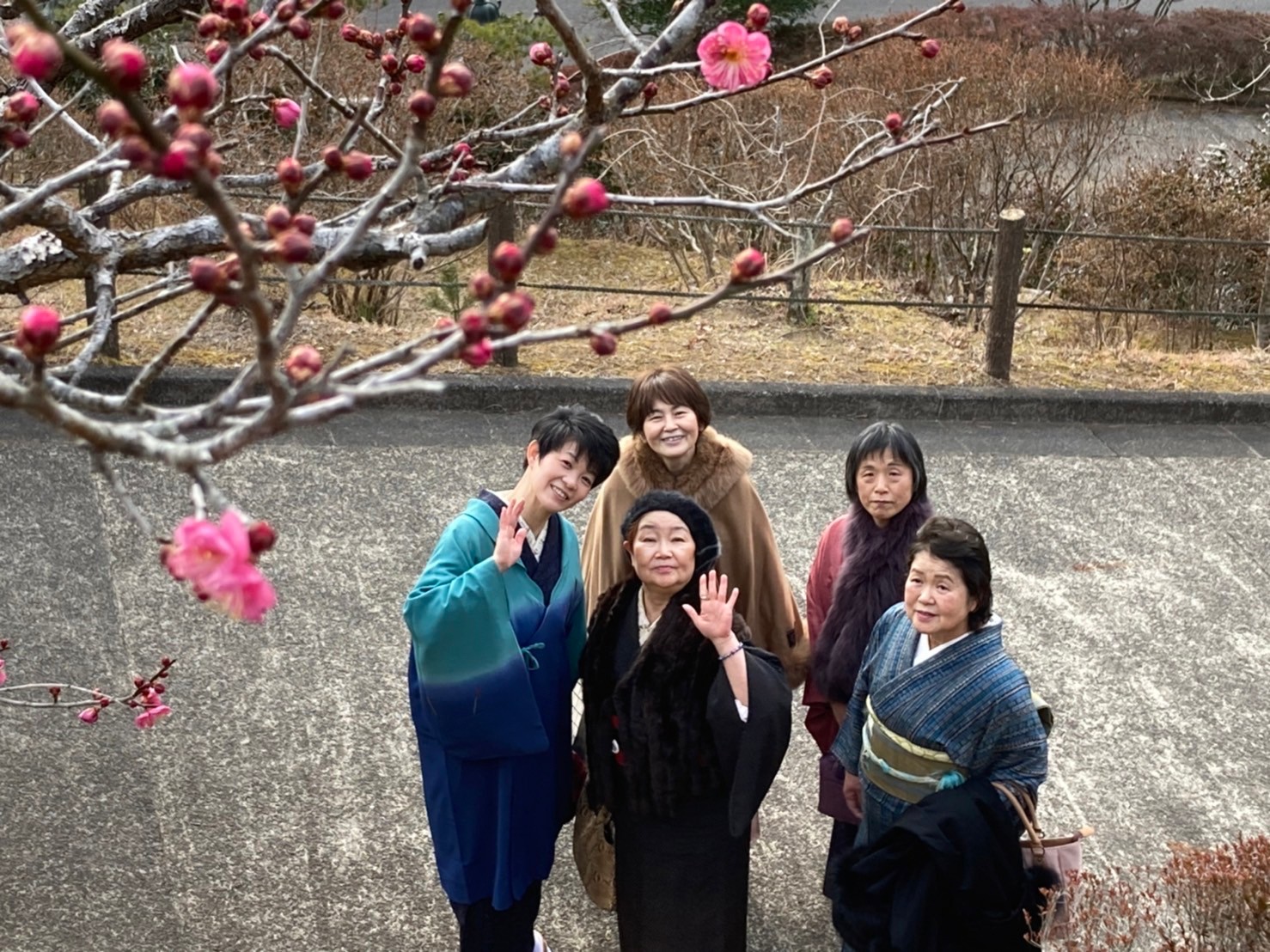 茨城県笠間市の常陸国出雲大社にで紅梅観賞をしてきました。
咲き始めの梅と着物姿の参加された皆様とで記念写真。